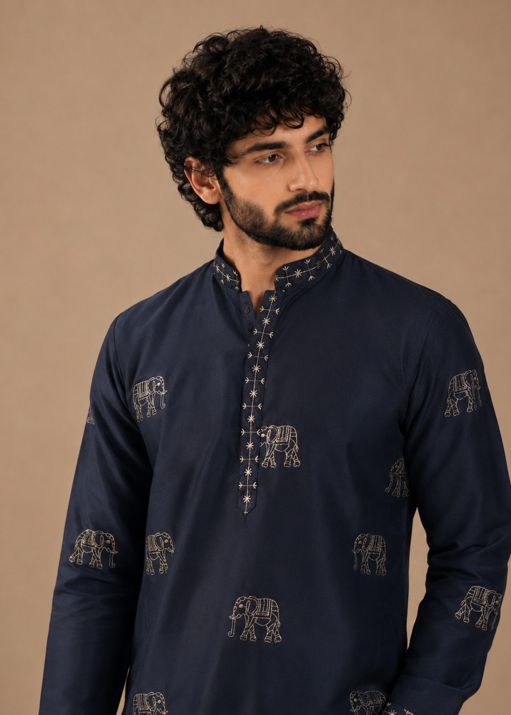 Men Navy Blue Elephant Embroidered Kurta Trouser Set